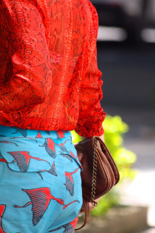 short-ronaldo-fraga-2