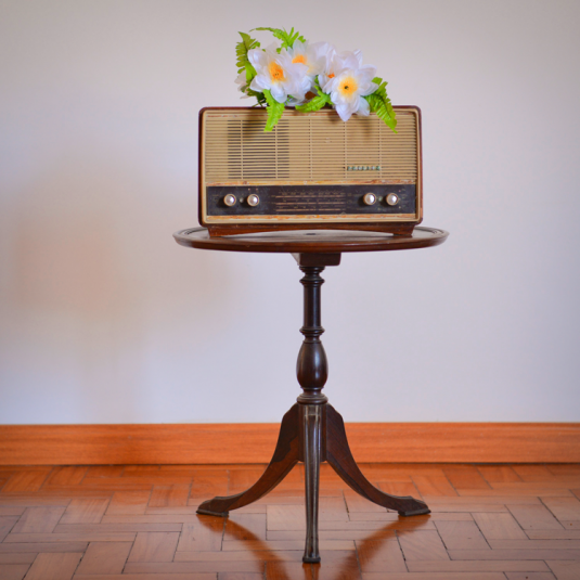 HVAO_PapricaFotografia00457