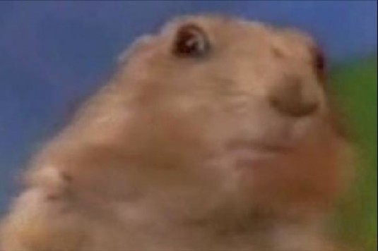 TheDramaticPrairieDog